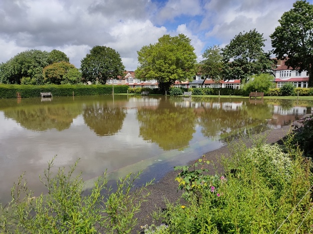 Flooded Green 10